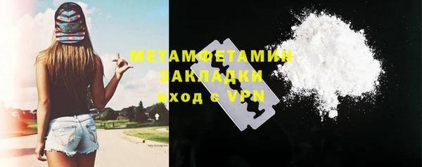индика Белокуриха