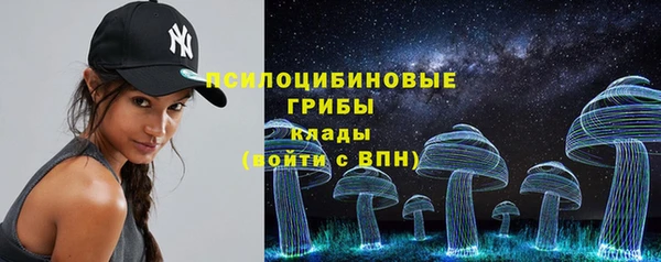 индика Белокуриха