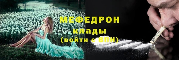 индика Белокуриха