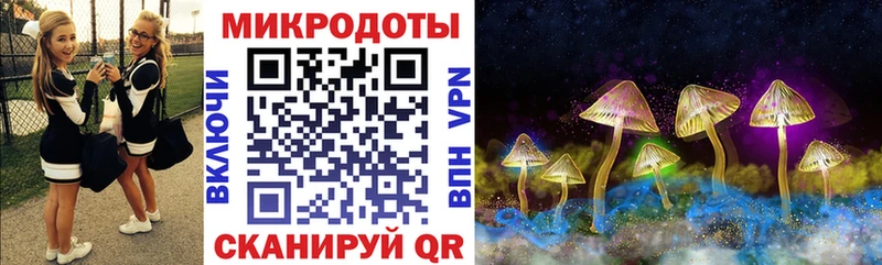 Псилоцибиновые грибы GOLDEN TEACHER  Купить закладки  Красный Холм 